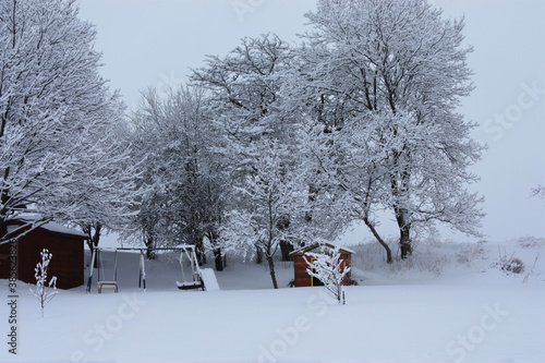 snow covered backyard