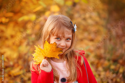 Outdoor portrait of happy blonde child girl in a red jacket holding yellow leaves. Little girl walking in the autumn park or forest. Warm sunny weather. Fall concept