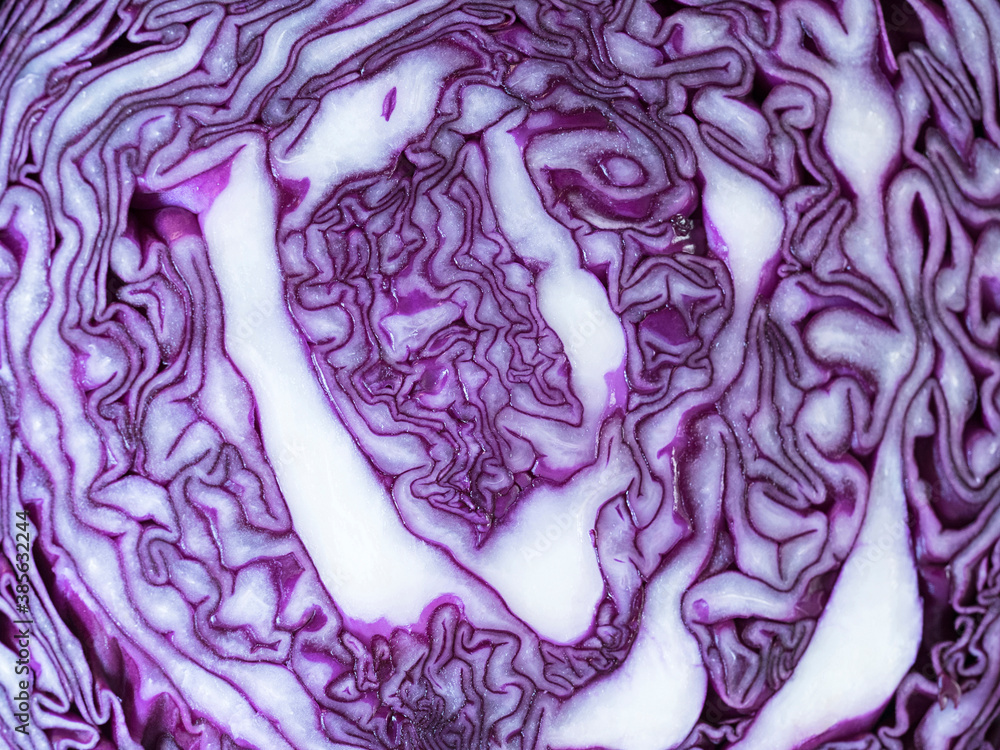 Obraz premium Red Cabbage Inside Pattern Close Up