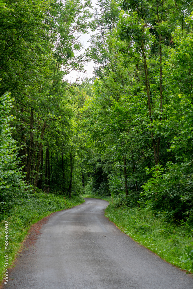 Naklejka premium Waldstrasse 3