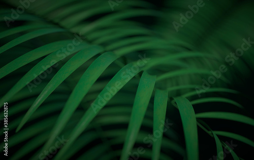 Tropical palm leaves background. Summer tropical leaf. Exotic hawaiian jungle, summertime party design for trendy poster, flyer, banner, card, cover, brochure. 3d render
