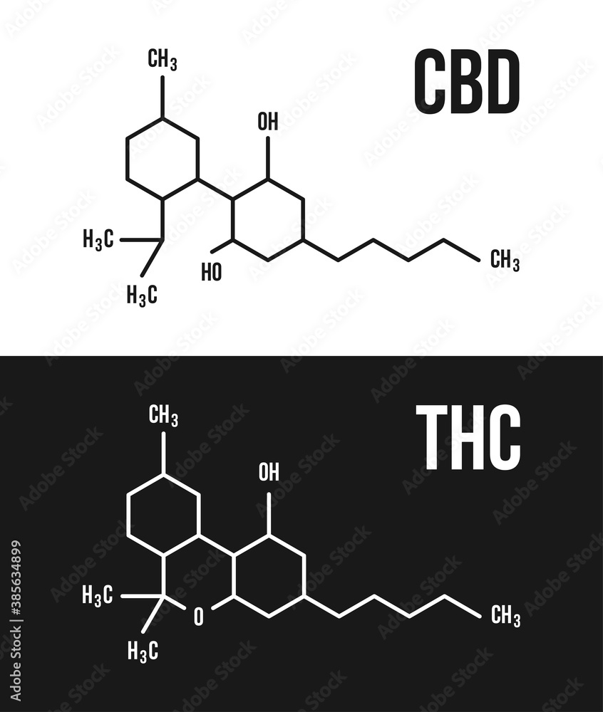 Fototapeta premium CBD and THC molecular structure illustrations. Cannabinol and Tetrahydrocannabinol chemistry cannabis formula vector