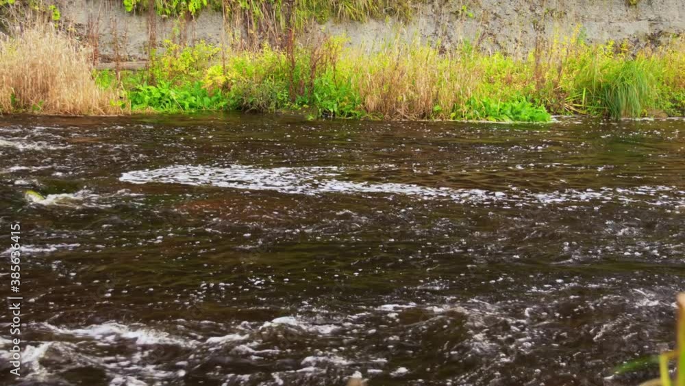 nature and landscape concept - view of river nature and landscape concept - view of river
