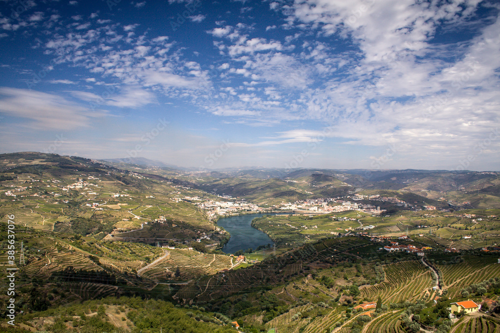 Landscape of terraced vineyards and olive trees in Douro Valley, northern Portugal, officially designated by UNESCO.