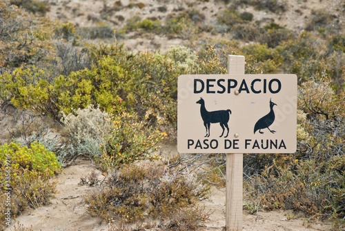 Peninsula de Valdez fauna sign