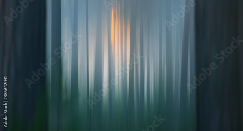 Evergreen forest in a mysterious morning fog, natural wall of the fir and pine trees. Idyllic autumn scene. Pure nature, ecology, seasons. Dark atmospheric landscape. Panoramic view. Abstract pattern photo