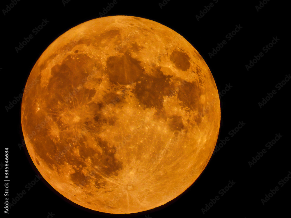 Obraz premium Full Harvest Moon in a Brilliant Orange and Yellow in a Pitch Black Sky with Astronomy View Including Moon Craters