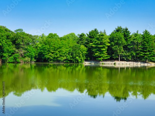 Gorgeous Lake Landscape with Luscious Green Trees on the Bank and Reflected in the Water with Bright Blue Sky 