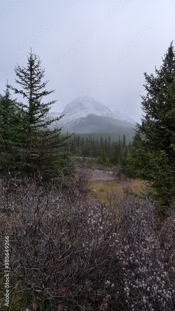 Cloudy mountain landscape, Icefields Parkway, Alberta, Canada Cloudy mountain landscape, Icefields Parkway, Alberta, Canada