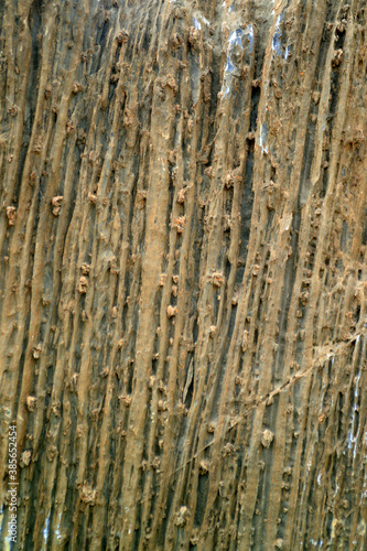 Rock background texture. Metamorphic rock with interesting natural pattern..