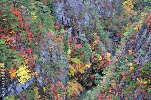 Deep Valley covered with red and yellow leaves photo