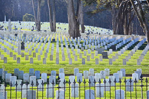 Rows of headstones at the San Francisco National Cemetery in the Presidio photo