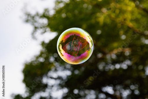 Wallpaper Mural 森に浮かぶシャボン玉 Torontodigital.ca