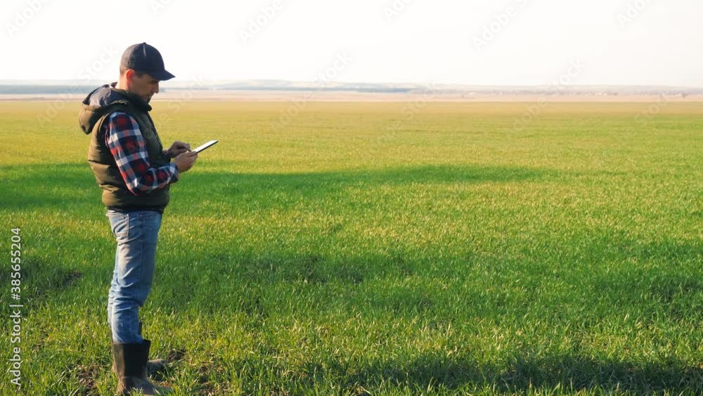 custom made wallpaper toronto digitalman farmer red neck lifestyle with a digital tablet walks on a green field. eco smart farming agriculture concept. male worker studies winter green wheat crops works in the field