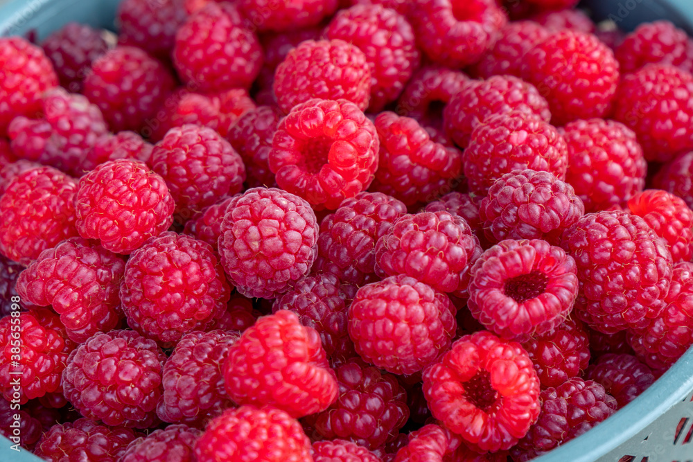 Container of a pile of Red Juicy Raspberries at the farmers market Container of a pile of Red Juicy Raspberries at the farmers market