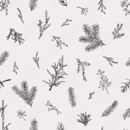 Botanical seamless pattern with evergreens.