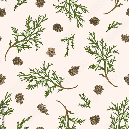 Seamless pattern with juniper branches.