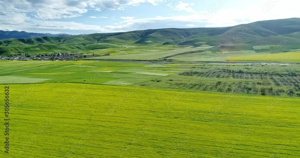 Aerial photos of rape flowers in full bloom in spring Aerial photos of rape flowers in full bloom in spring
