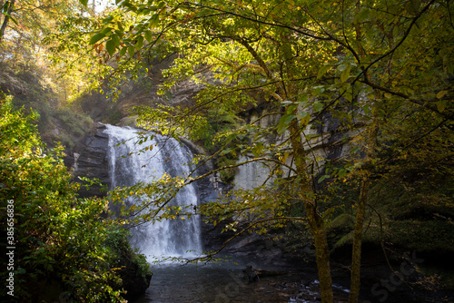 Looking Glass Falls in The Pisgah National Forest © Sharkshock