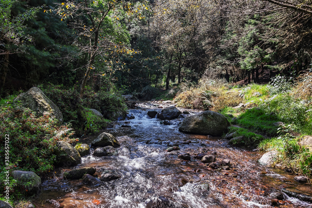 Beautiful river scene during autumn with trees surrounding the water. Beautiful river scene during autumn with trees surrounding the water.