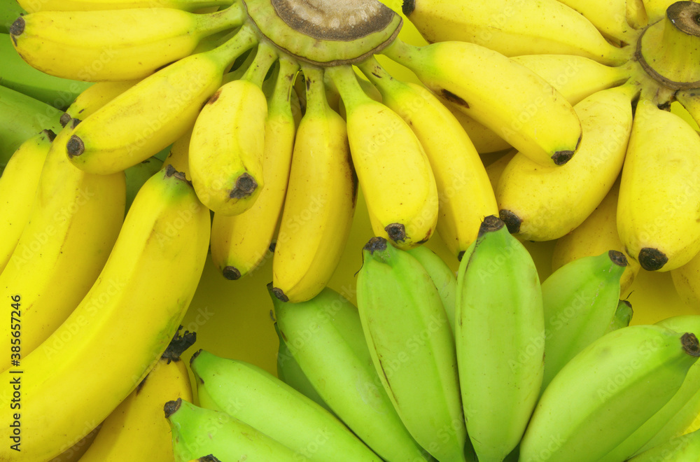 Assortment of different bananas as background	