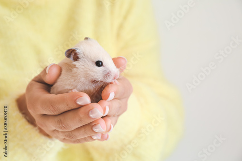 Woman with cute funny hamster on grey background, closeup
