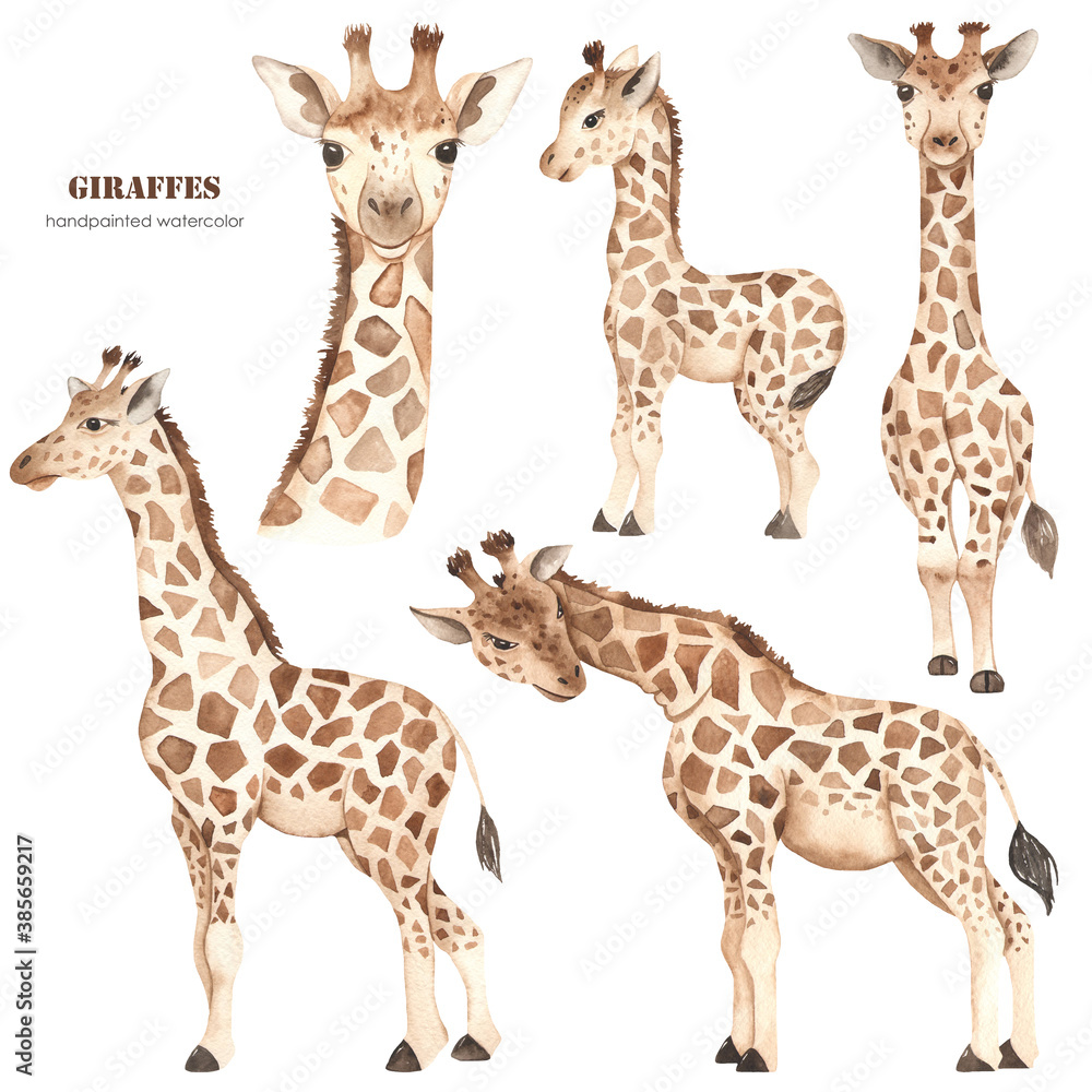 Cute cartoon giraffes, family, mom and baby, giraffe head watercolor  clipart Stock Illustration | Adobe Stock