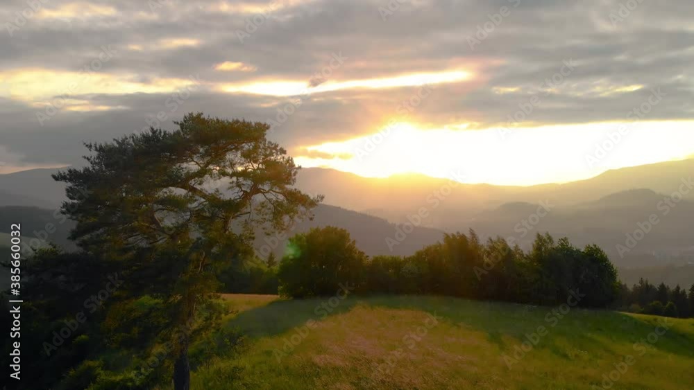 AERIAL Exotic Tree with gorgeous Sunset over mountain landscape filled by golden light AERIAL Exotic Tree with gorgeous Sunset over mountain landscape filled by golden light
