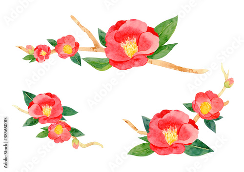 red camellia japonica flower and leaves isolated on white background. Japanese tsubaki. Symbol of love. Watercolor hand painting illustration.