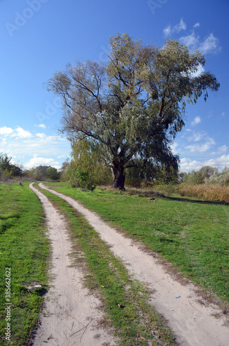 Dirt road.Natural landscape in Kiev Region at autumn