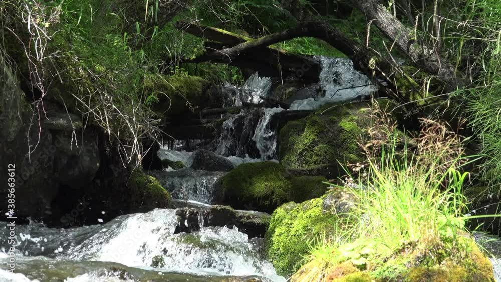 Stream flowing into the Katun river. Altai, Siberia, Russia Stream flowing into the Katun river. Altai, Siberia, Russia