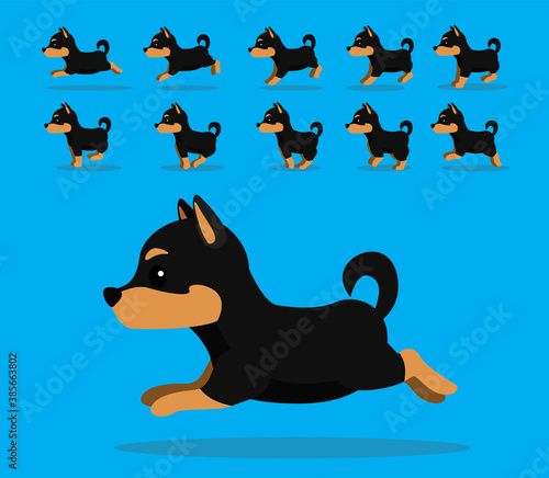 Animal Animation Sequence Kelpie Cartoon Vector