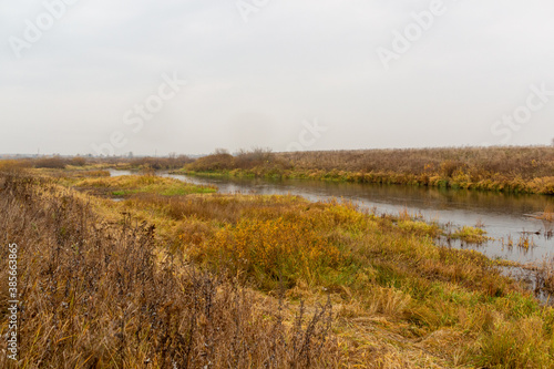 autumn rural natural scene with calm river reflecting yellow trees in cloudy day