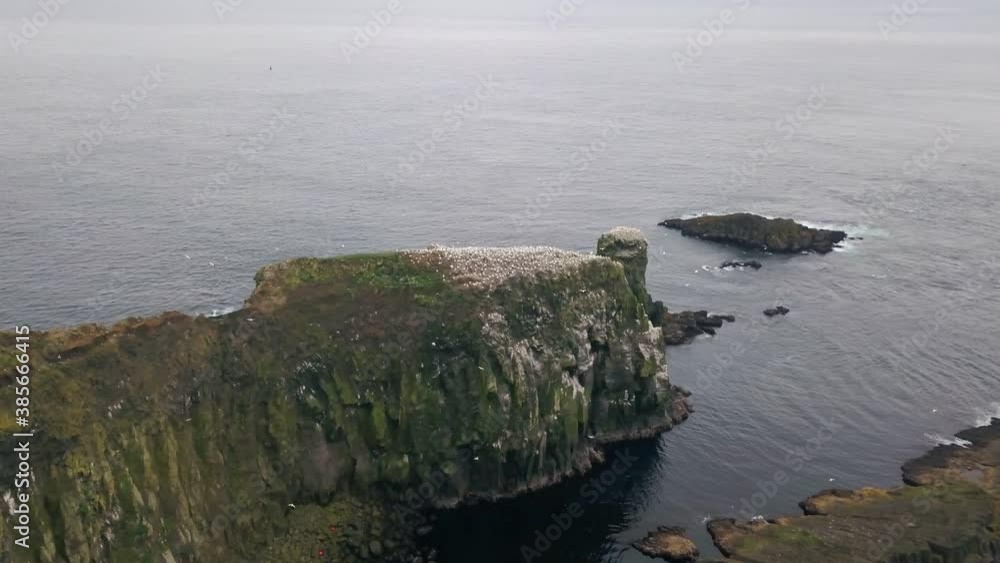 Seabirds nest on the cliffs of Faroe Islands. Shot on cloudy day. Drone aerial Seabirds nest on the cliffs of Faroe Islands. Shot on cloudy day. Drone aerial
