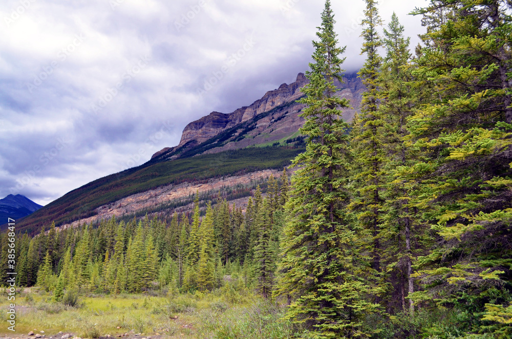 Alberta, Canada - View from Kerkeslin Campground in the Rocky Mountains