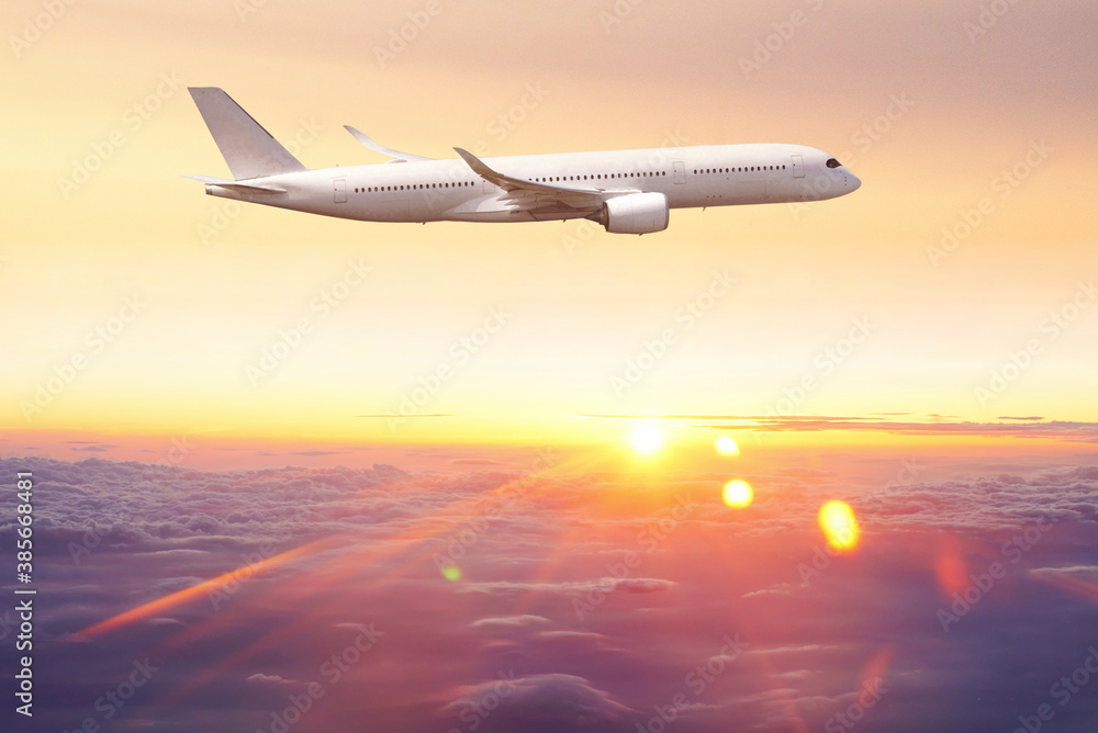 Fototapeta premium 飛行機