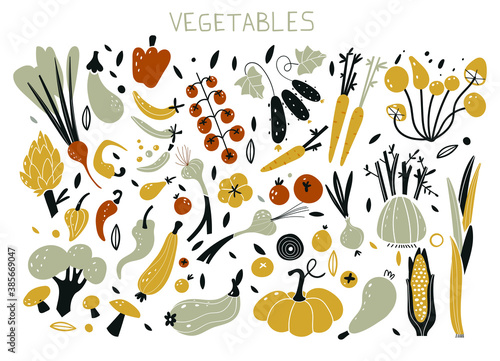 Vector illustrations of autumn objects. Set with hand drawn colorful doodle fruits and vegetables. Sketch style big vector collection. Flat icons set carrot, onion, tomato, beet, cucumbers, pumpkin.