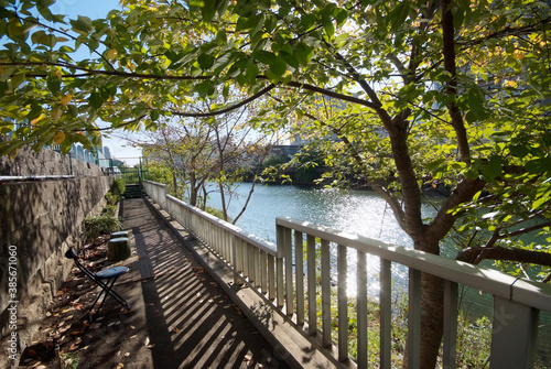 天神橋自然魚釣場 横十間川 東京都江東区亀戸 Stock Photo Adobe Stock 天神橋自然魚釣場 横十間川 東京都江東区亀戸 Stock Photo Adobe Stock