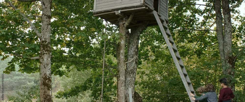 Happy three kids boys friends climbing a ladder to get into a tree house. Shot on RED Dragon with 2x Anamorphic lens Happy three kids boys friends climbing a ladder to get into a tree house. Shot on RED Dragon with 2x Anamorphic lens