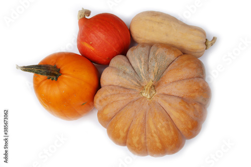 Uchiki kuri pumpkin, Butternut pumpkin, Halloween pumpkin and Fairytale or Musque de provence pumkin isolated on white background photo