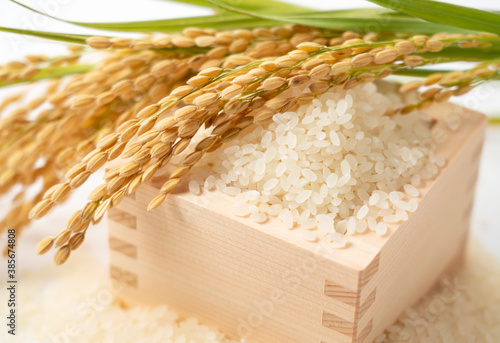 Photo White rice, Masu and ears of rice on a white background