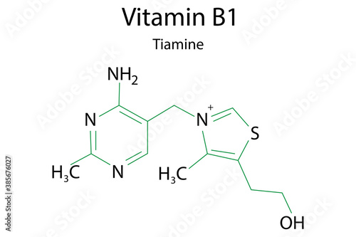 Vitamin b1 formula for healthcare design. Thiamin as a healthy food. Vector illustration. Stock photo.