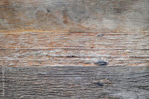 close up of wooden texture for background 