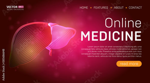 Online medicine landing page template or medical hero banner design concept. Human liver outline organ vector illustration in 3d line art style on abstract background