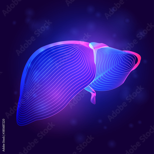 Human liver medical structure. Outline vector illustration of body part organ anatomy in 3d line art style on neon abstract background