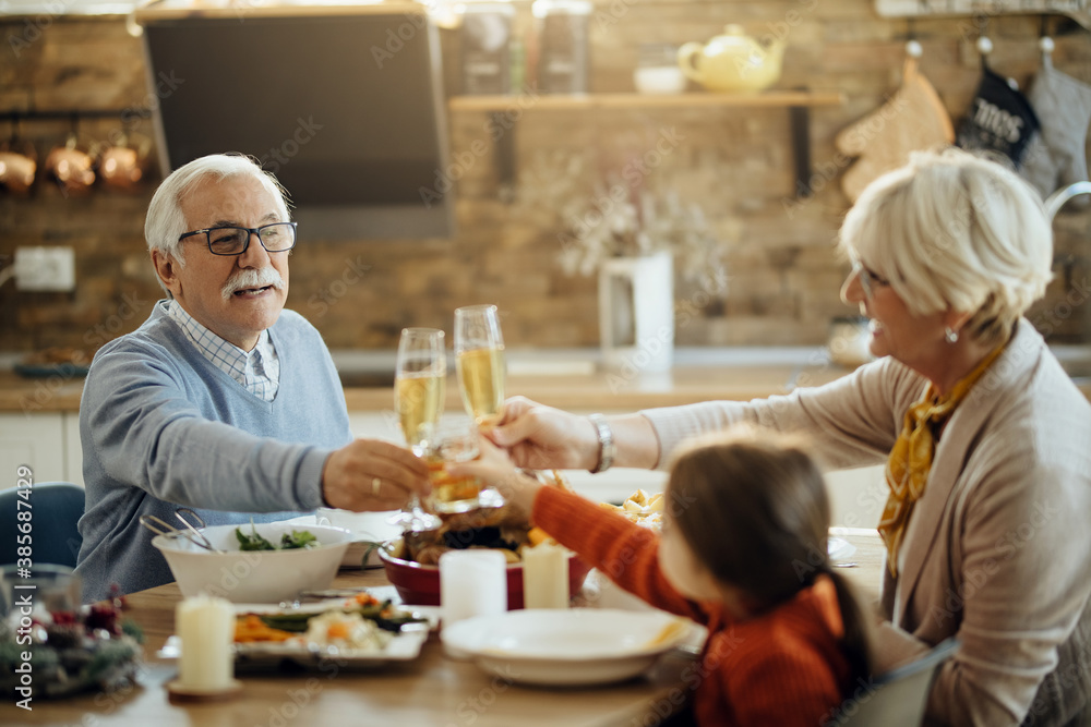 Happy grandparents and granddaughter toasting during Thanksgiving lunch at home. Happy grandparents and granddaughter toasting during Thanksgiving lunch at home.