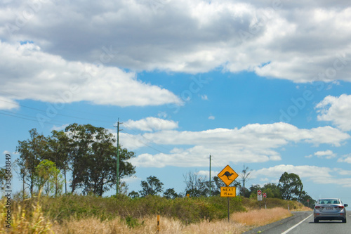 Canvas Print A kangaroo warning sign on the highway