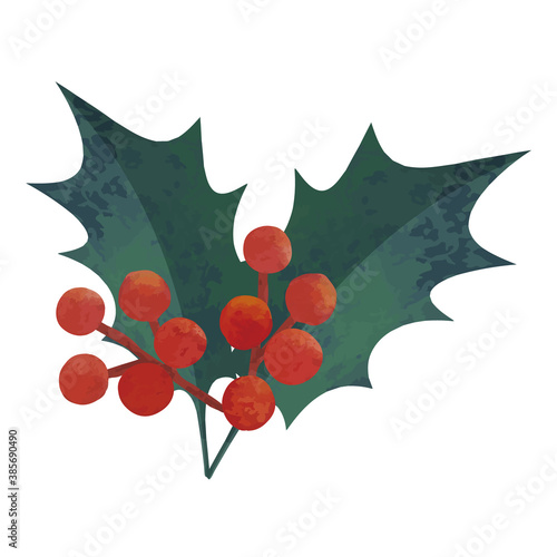 ヒイラギの水彩イラスト