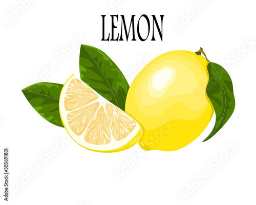 lemon and sliced lemon with leaves isolate on white background, vector illustration