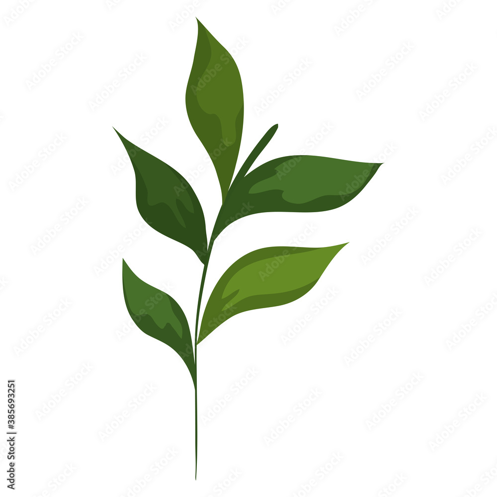 leaves design of Natural floral nature and plant theme Vector illustration